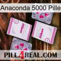 Anaconda 5000 Pill 33